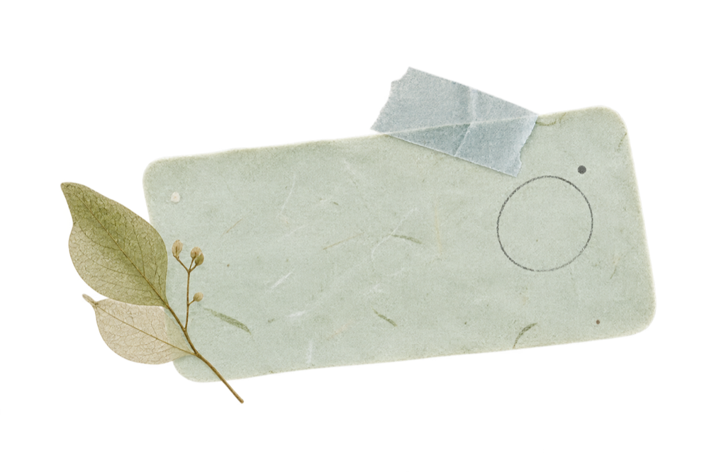 A pale celadon check-in card with a translucent washi tab and pressed leaf